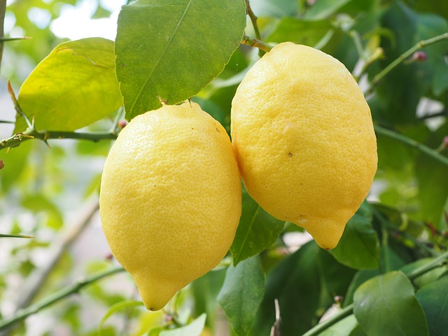 Are Lemons good for colds