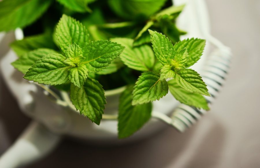 Mint - Best foods for digestion