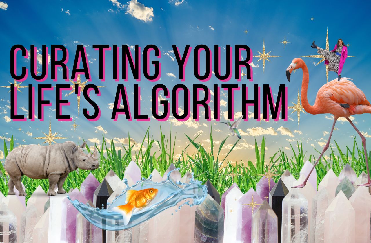 Curating Life's Algorithm